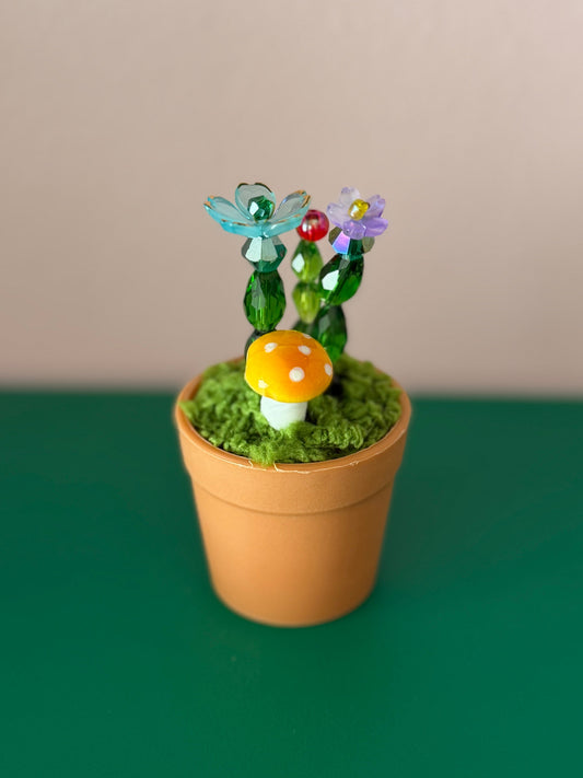Mystery Beaded Cactus Plant