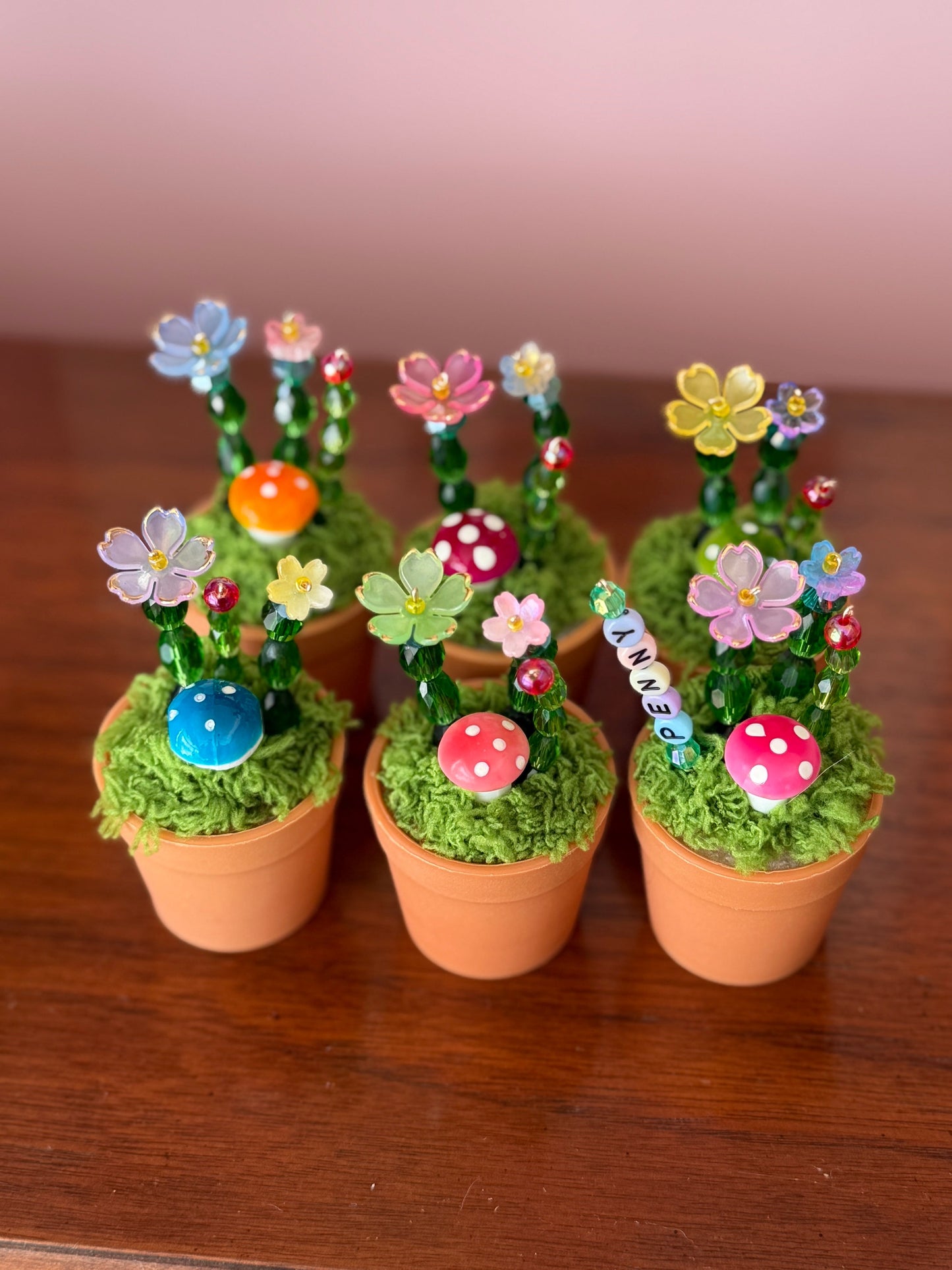 Mystery Beaded Cactus Plant
