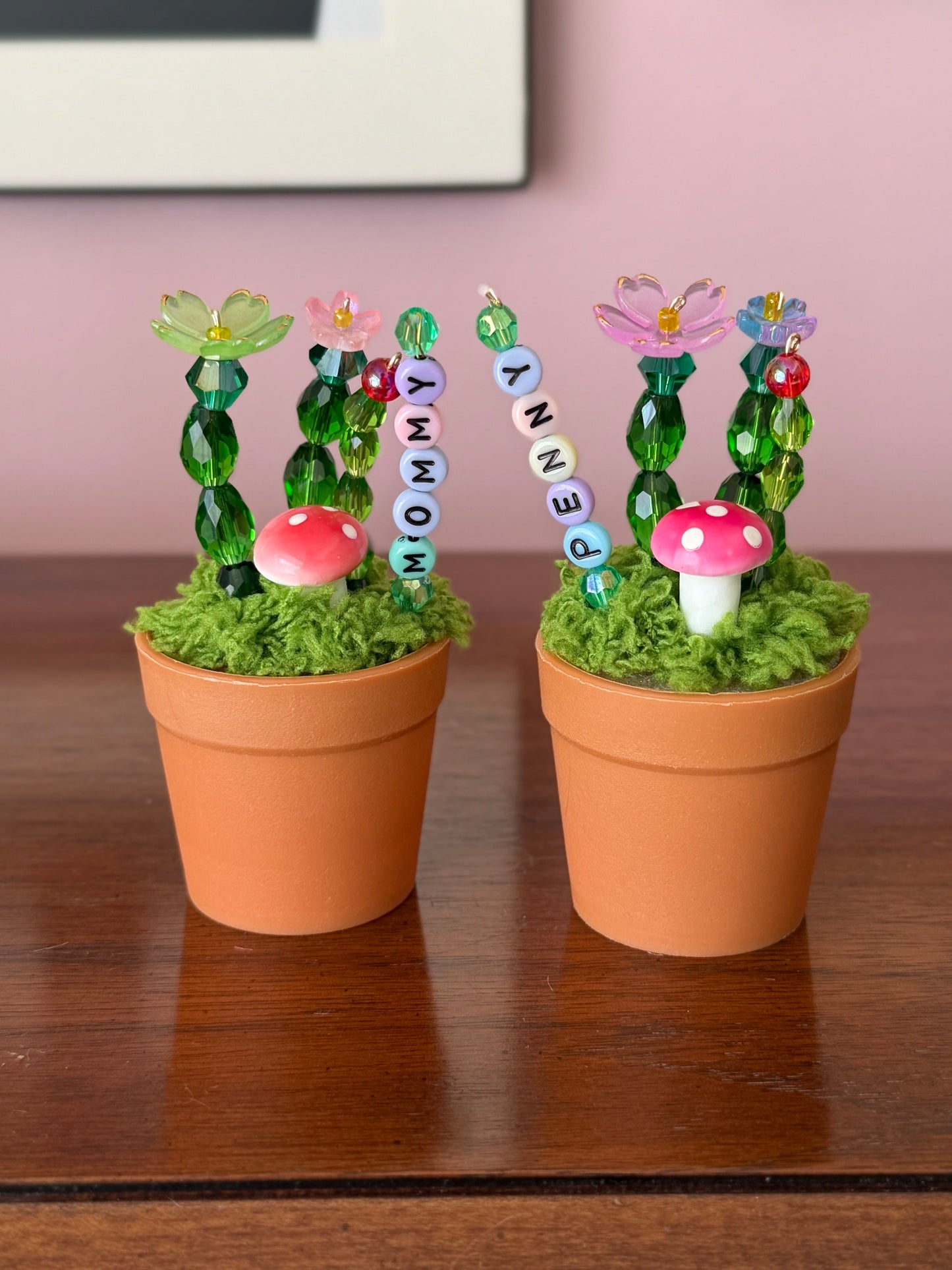 Mystery Beaded Cactus Plant